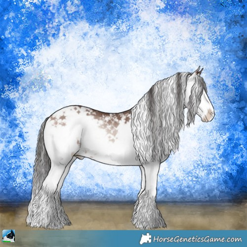 Horse Color:Sable Champagne Onyx Mushroom Sabino Splash Rabicano 