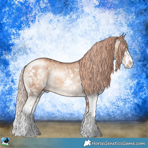 Horse Color:Gold Champagne Dun Sabino Rabicano Brindle 