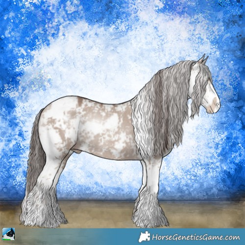 Horse Color:Classic Champagne Dun Mushroom Sabino Rabicano 