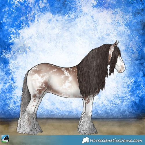 Horse Color:Classic Champagne Onyx Mushroom Sabino 