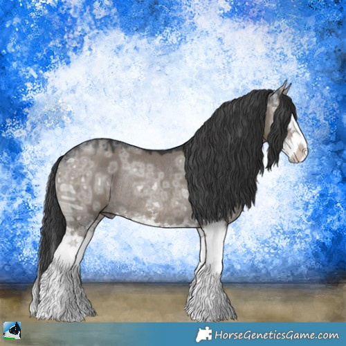 Horse Color:Grullo Ice Mushroom Sabino Splash Rabicano 