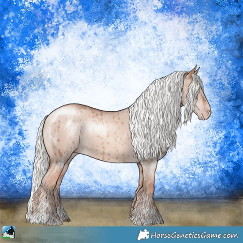 Horse Color:Gold Champagne Dun Mushroom Sabino Brindle 