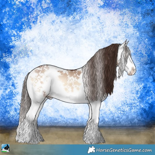 Horse Color:Classic Champagne Onyx Sabino Splash 