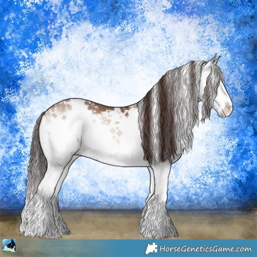 Horse Color:Classic Champagne Onyx Mushroom Sabino Splash 