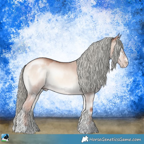 Horse Color:Gold Champagne Onyx Mushroom Sabino 