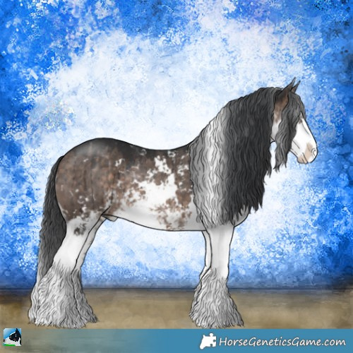 Horse Color:Brown Dun Mushroom Sabino Rabicano Brindle 