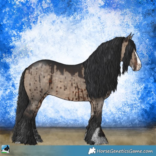 Horse Color:Brown Dun Sabino Rabicano Brindle 