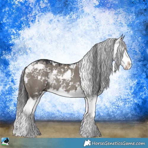 Horse Color:Grullo Mushroom Sabino Splash Rabicano 