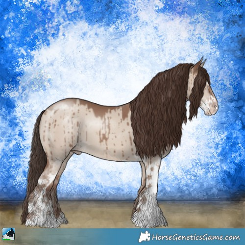 Horse Color:Classic Champagne Dun Sabino Brindle 