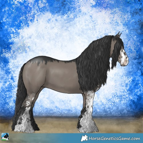 Horse Color:Grullo Sabino 