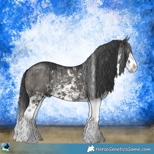 Horse Color:Grullo Mushroom Sabino Splash Rabicano Brindle 