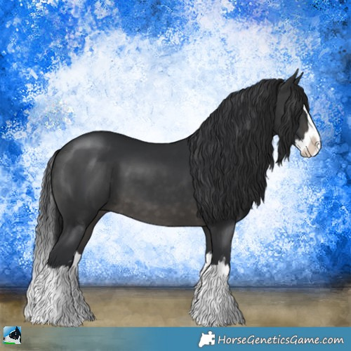 Horse Color:Brown Dun Mushroom Sabino Splash 