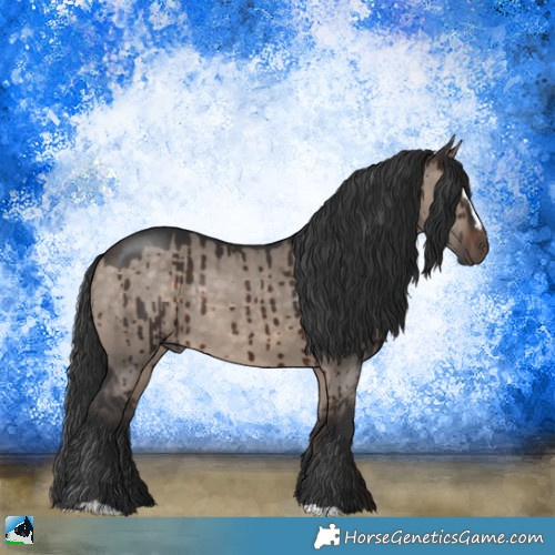 Horse Color:Brown Dun Mushroom Sabino Rabicano Brindle 