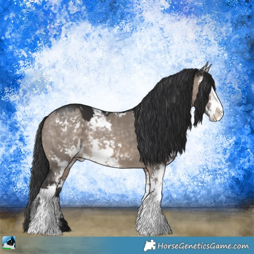 Horse Color:Brown Dun Mushroom Sabino 