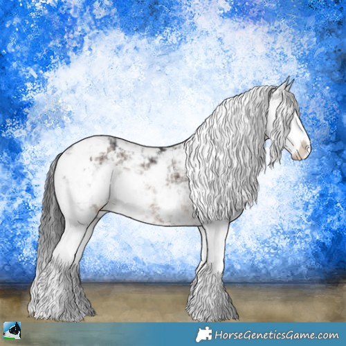 Horse Color:Brown Dun Mushroom Sabino Splash Rabicano 