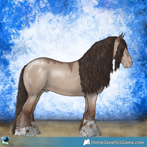 Horse Color:Classic Champagne Dun 