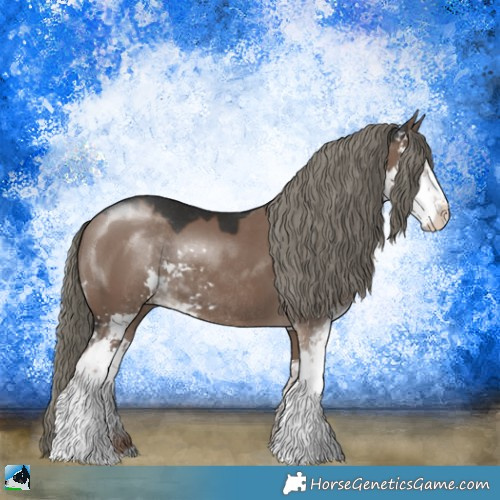 Horse Color:Liver Red Dun Mushroom Sabino Rabicano 