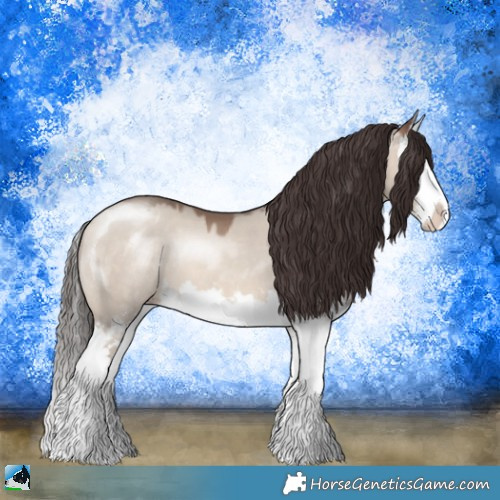 Horse Color:Sable Champagne Dun Mushroom Sabino Splash 