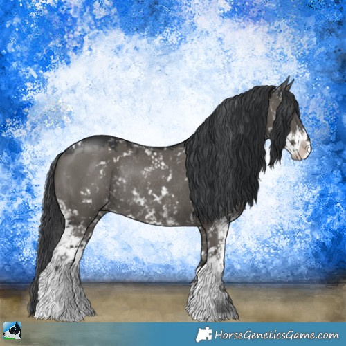 Horse Color:Grullo Mushroom Sabino Rabicano 