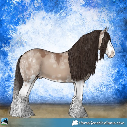 Horse Color:Classic Champagne Ice Dun Splash 