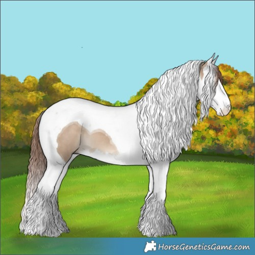 Horse Color:Liver Red Dun Splash Tobiano 
