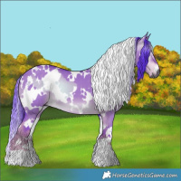 Horse Color:Gray Watercolor White Spotted Liver Red Dun Onyx and Watercolor White Spotted Liver Red Dun