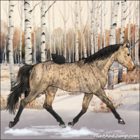 Horse Color:Brown Dun  and Buckskin Dun 
