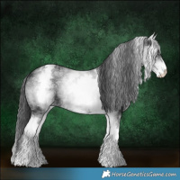Horse Color:White Spotted Black 