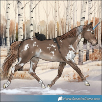 Horse Color:White Spotted Liver Red Dun 