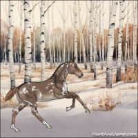 Horse Color:White Spotted Liver Red Dun