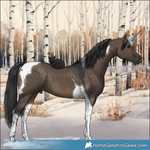 Horse Color:Brown Dun Tobiano 