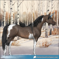 Horse Color:Brown Dun Tobiano