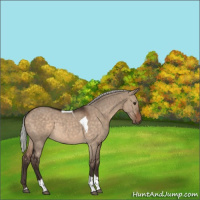 Horse Color:Silver Brown Dun Tobiano 