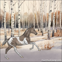 Horse Color:Silver Grullo Tobiano