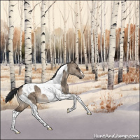 Horse Color:Brown Dun Tobiano