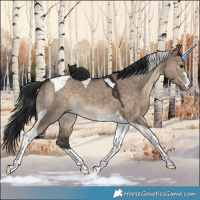 Horse Color:Brown Dun Tobiano 