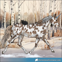 Horse Color:White Spotted Liver Red Dun Tobiano Leopard 
