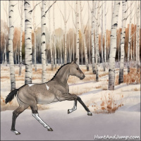 Horse Color:Brown Dun Tobiano 