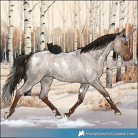 Horse Color:White Spotted Liver Red Dun Roan