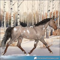 Horse Color:White Spotted Liver Red Dun Roan 