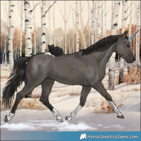 Horse Color:Smoky Grullo Tobiano 
