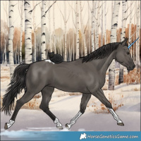 Horse Color:Smoky Grullo Tobiano 