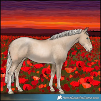 Horse Color:Chocolate Palomino Pearl 