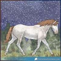 Horse Color:Buckskin Roan Pearl Splash Frame Rabicano 