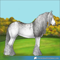 Horse Color:Gray White Spotted Black  and Gray White Spotted Classic Champagne 