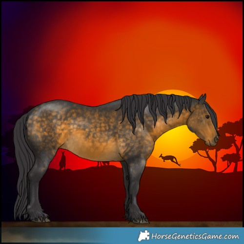 Horse Color:Buckskin Sabino Rabicano 