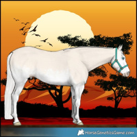 Horse Color:White Spotted Silver Perlino Dun Tobiano 