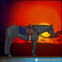 Horse Color:Black Sabino 