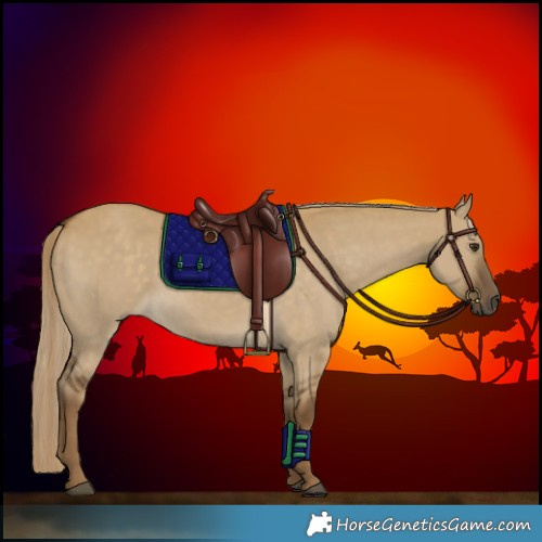 Horse Color:Chocolate Palomino Dun 