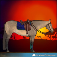 Horse Color:Buckskin Dun 